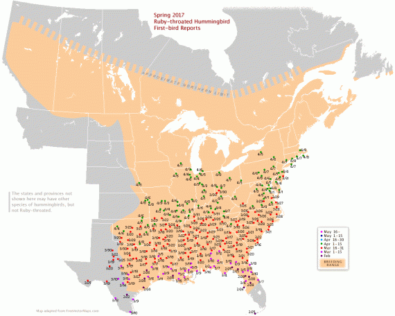2017 hummingbird map
